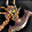 Usable by Warriors, Guardians. Requires Hard or Ulitmate Mode. Two-handed axe imbued with the power of a meteor fragment.
[Enchantment:Sacra Soul]
