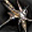 Guardian&#039;s exclusive One-handed blunt weapon with power of Jeharr that made of metal harder than steel.
[Enhancement:Fragment of King&#039;s Wrath]